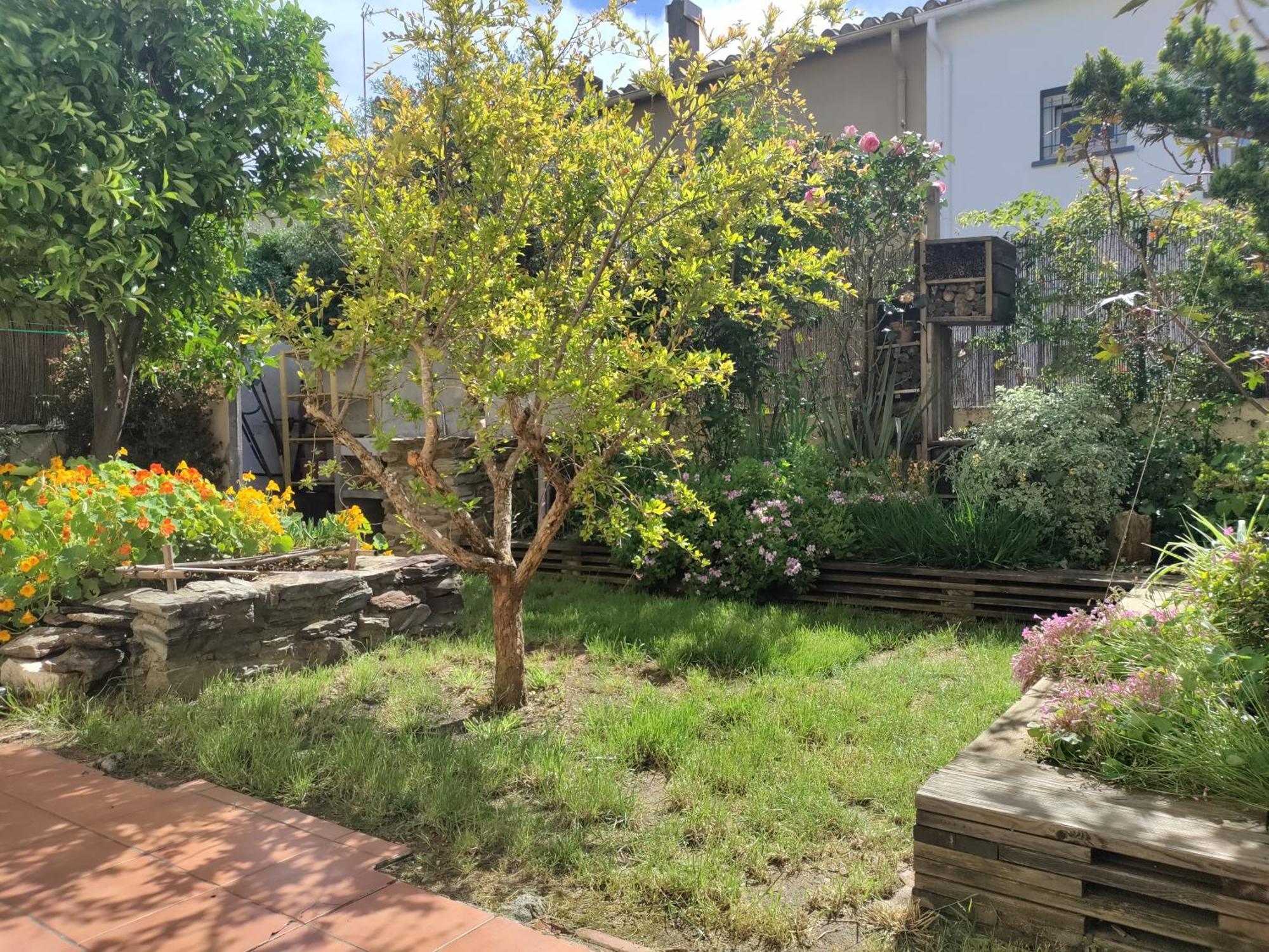 Les Papillons Apartamento Perpinhã Exterior foto